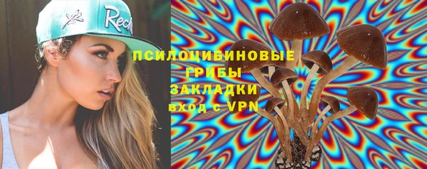 соль курить ск Алексеевка