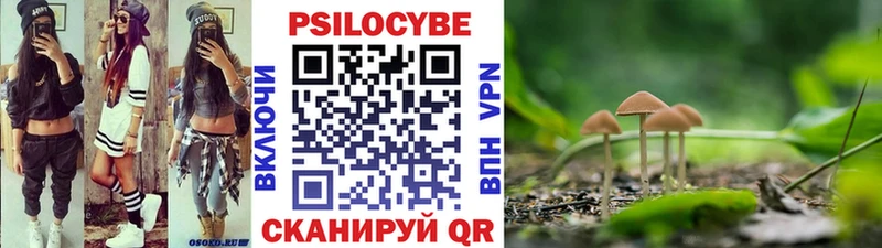 гидра вход  Крымск  Галлюциногенные грибы GOLDEN TEACHER 